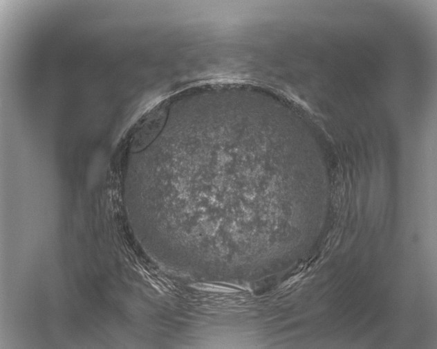 X0000058781255200510071559