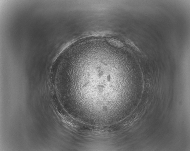 X0000058781256200510071559