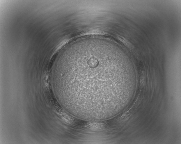 X0000058781258200510071559