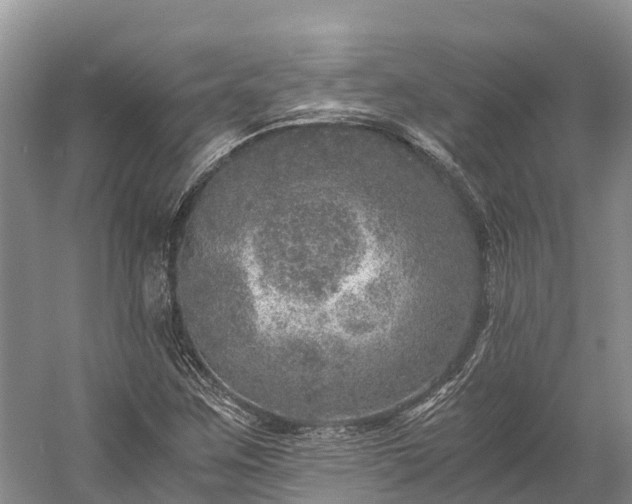 X0000058781259200510071559