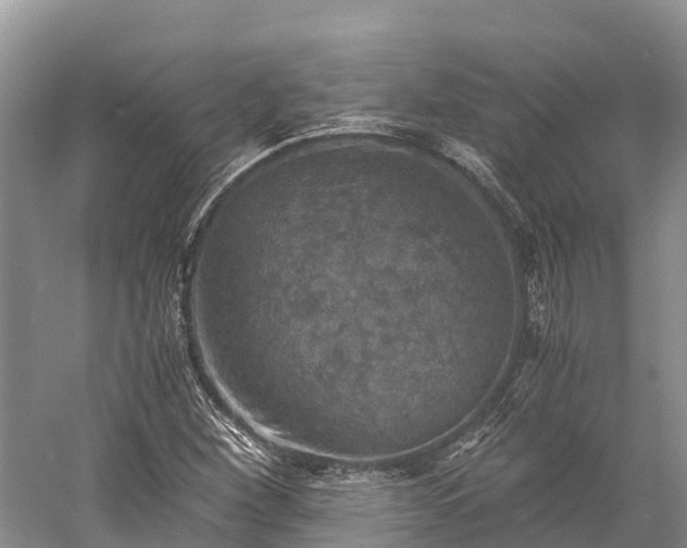 X0000058781260200510071559