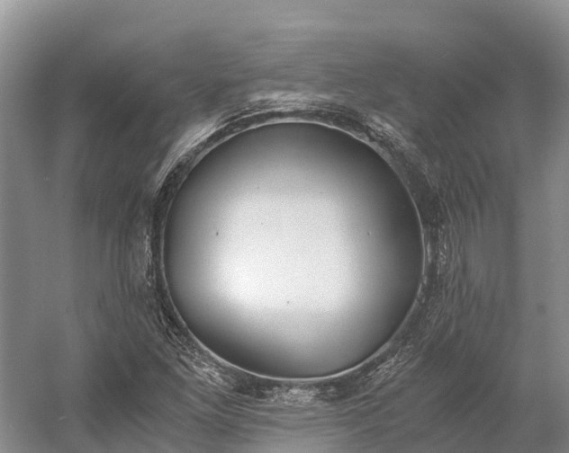 X0000058781261200510071559