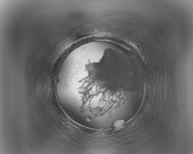 X0000058781263200510071559