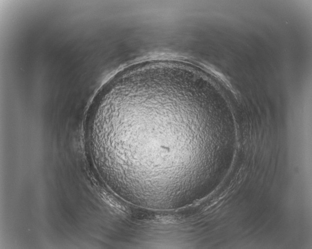 X0000058781264200510071559