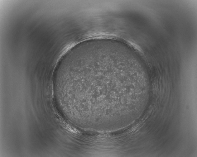 X0000058781267200510071559