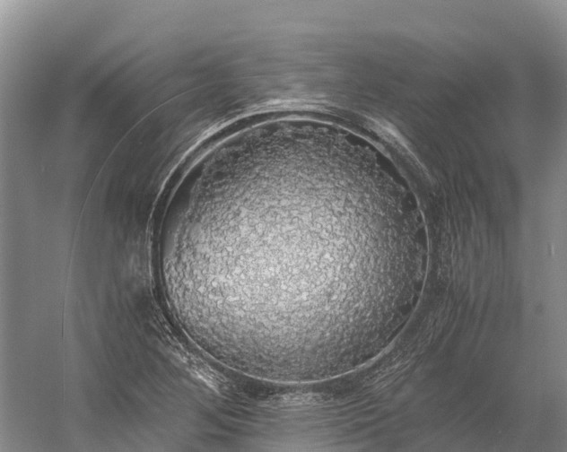 X0000058781268200510071559