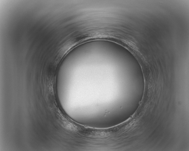 X0000058781273200510071559