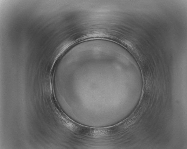 X0000058781274200510071559