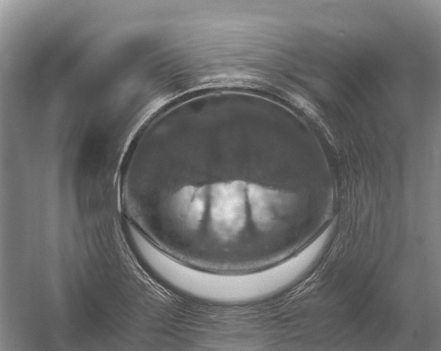 X0000058781275200510071559