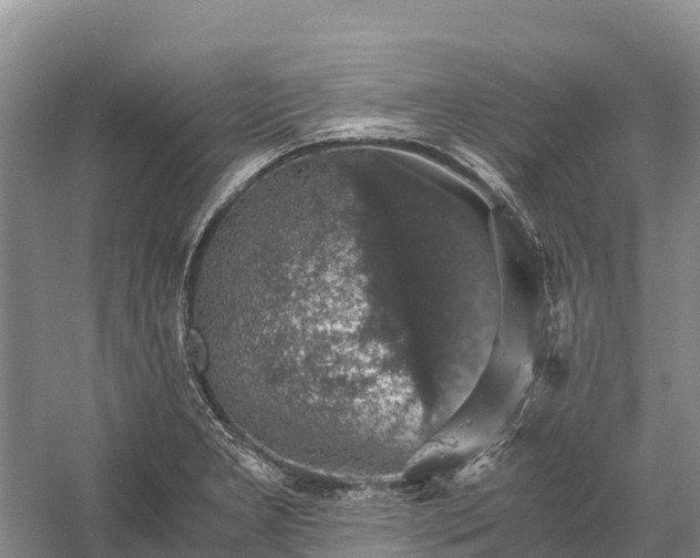 X0000058781277200510071559