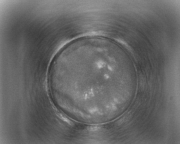 X0000058781278200510071559