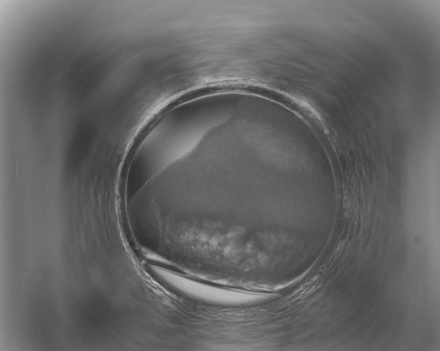 X0000058781279200510071559