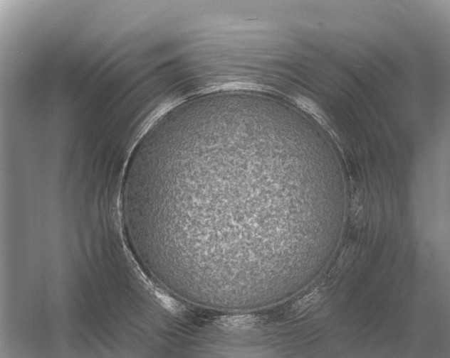 X0000058781282200510071559