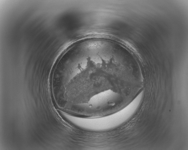 X0000058781283200510071559