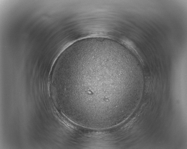 X0000058781284200510071559