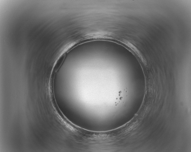 X0000058781285200510071559