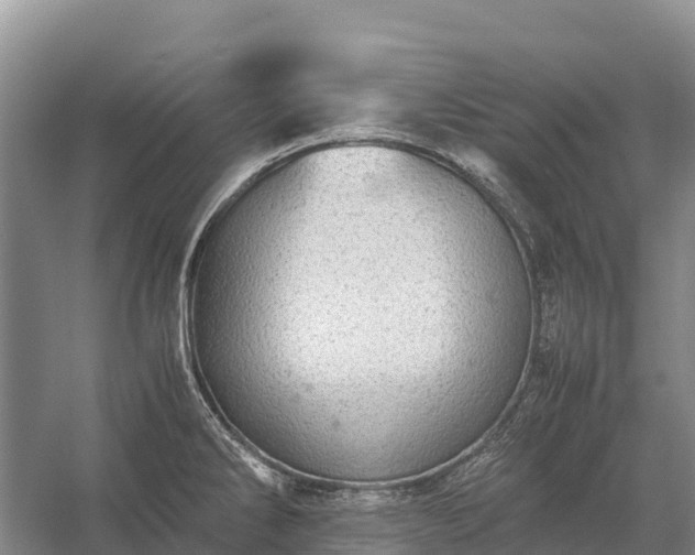 X0000058781286200510071559