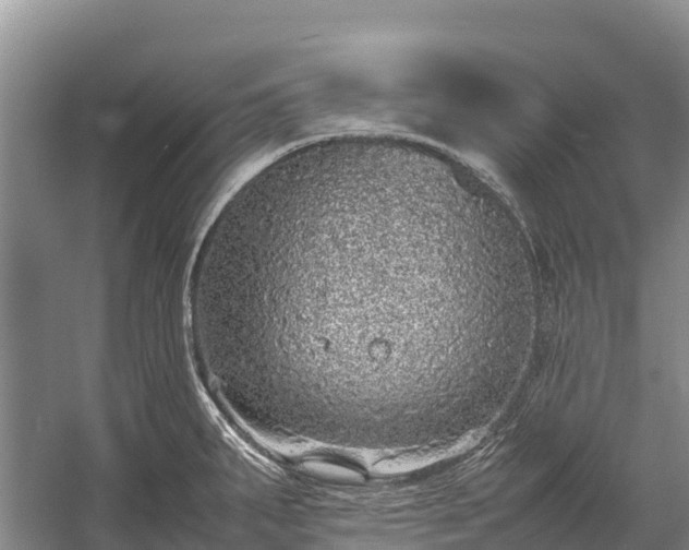 X0000058781287200510071559