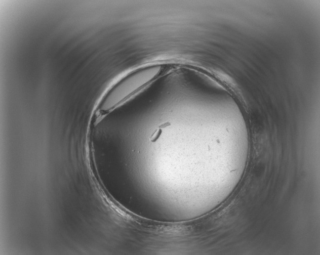 X0000058781288200510071559