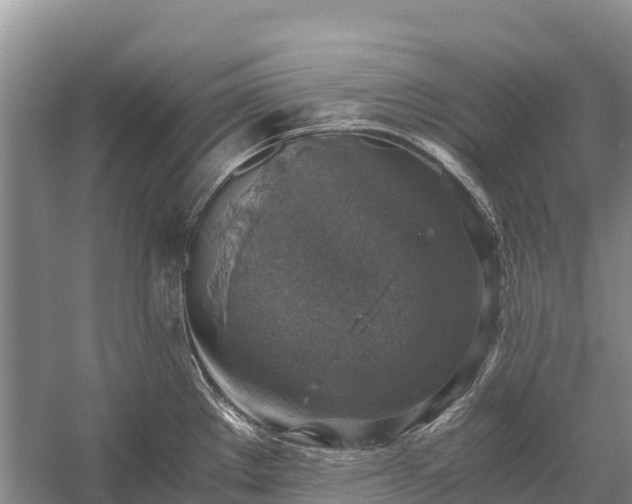 X0000058781289200510071559