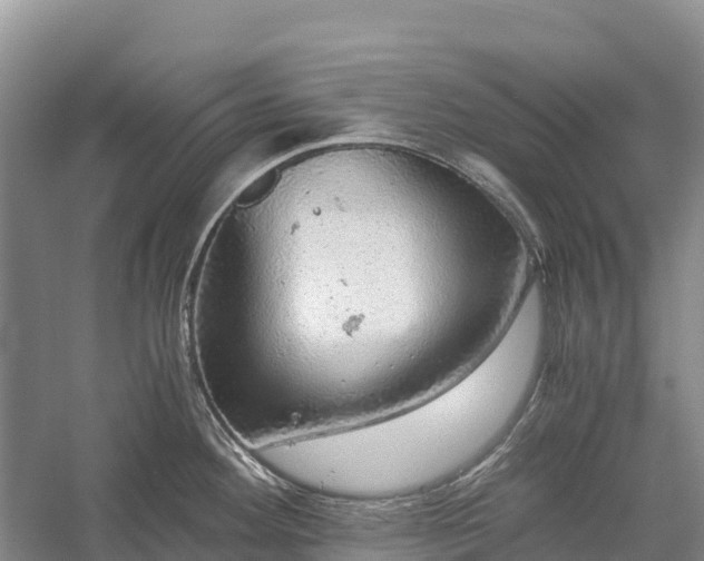 X0000058781292200510071559