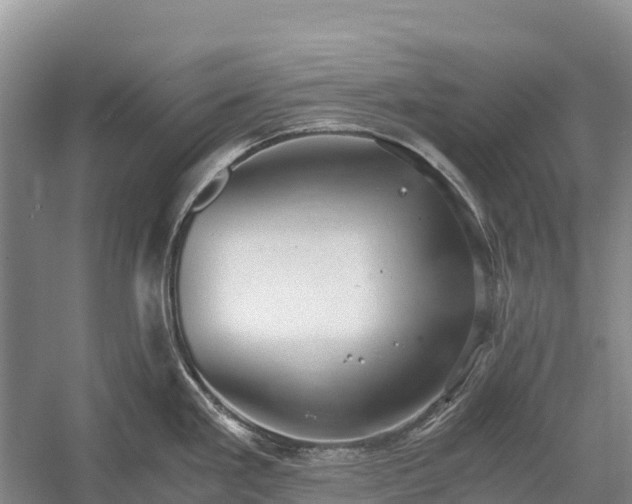 X0000058781293200510071559