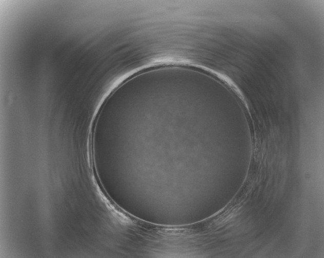 X0000058781295200510071559