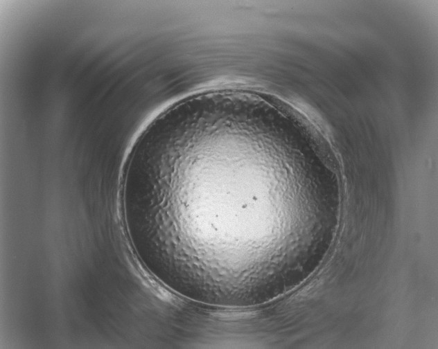 X0000058781296200510071559