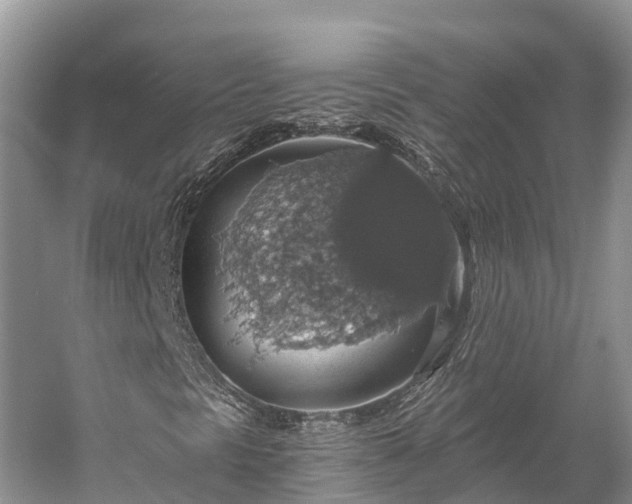 X0000058781297200510071558