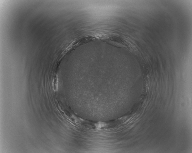 X0000058781298200510071558