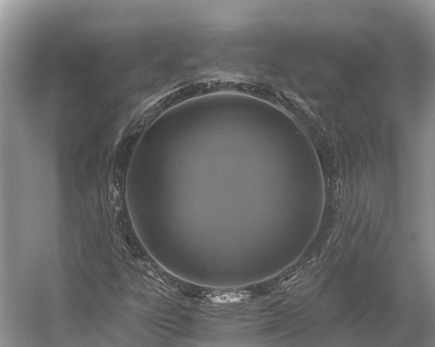 X0000058781303200510071558