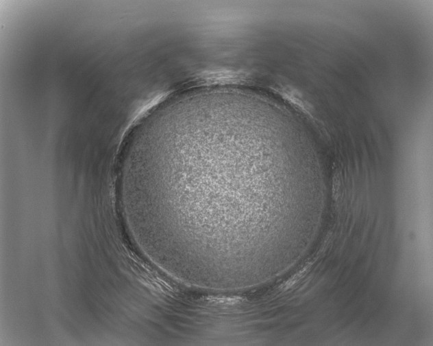 X0000058781309200510071558