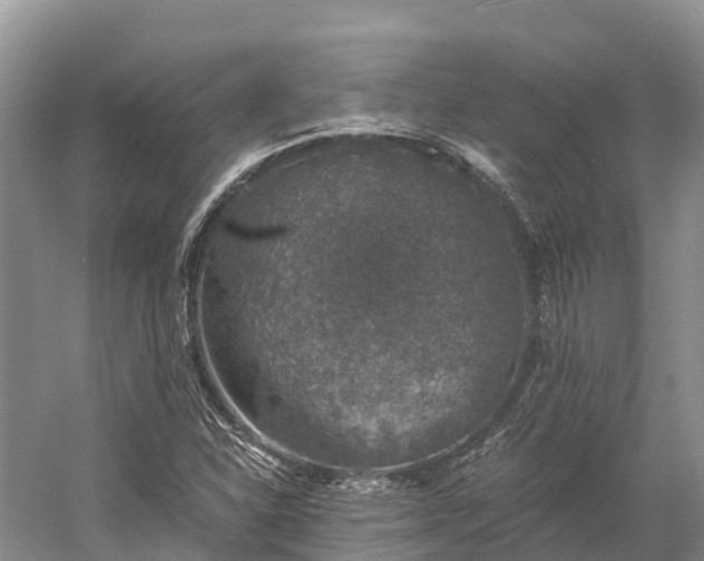 X0000058781310200510071558