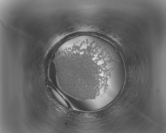 X0000058781311200510071558