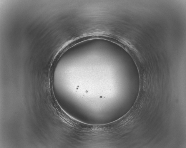 X0000058781316200510071558