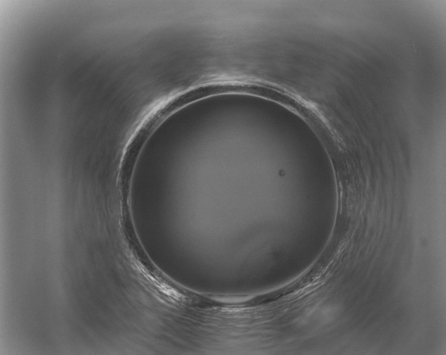 X0000058781319200510071558