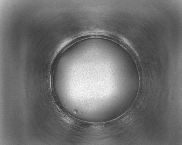 X0000058781320200510071558