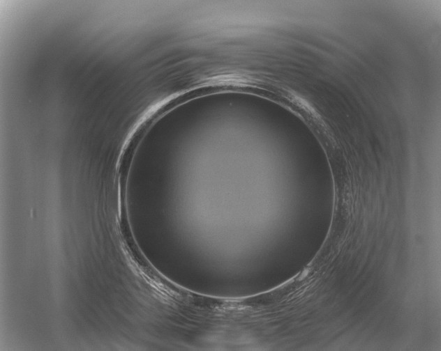 X0000058781323200510071558