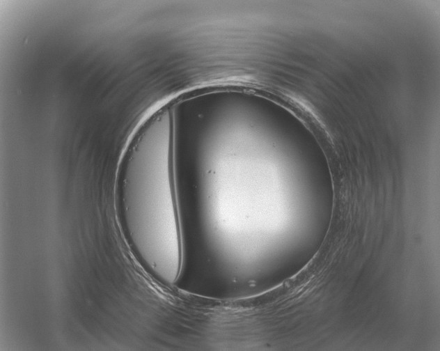 X0000058781324200510071558