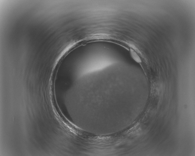 X0000058781325200510071558