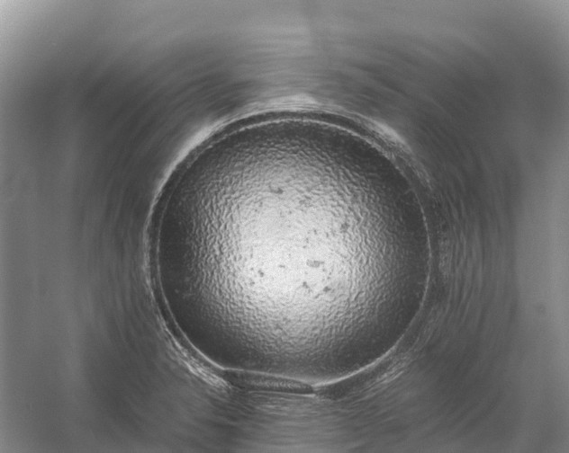 X0000058781326200510071558