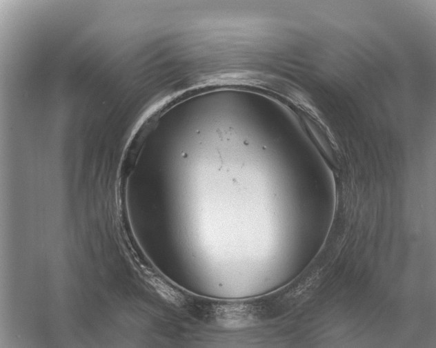 X0000058781328200510071559