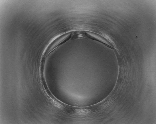 X0000058781331200510071559