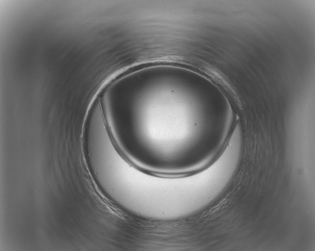 X0000058781332200510071559