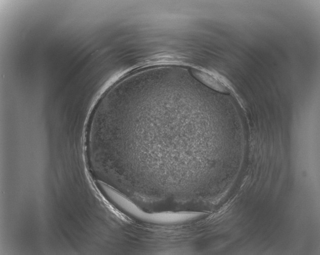 X0000058781333200510071559