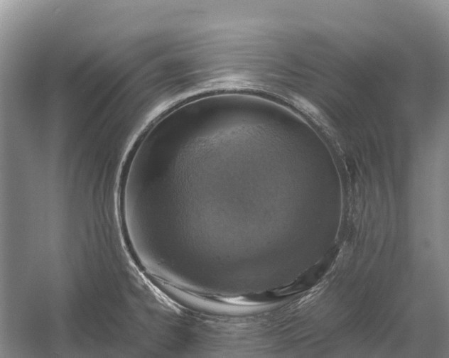 X0000058781334200510071559