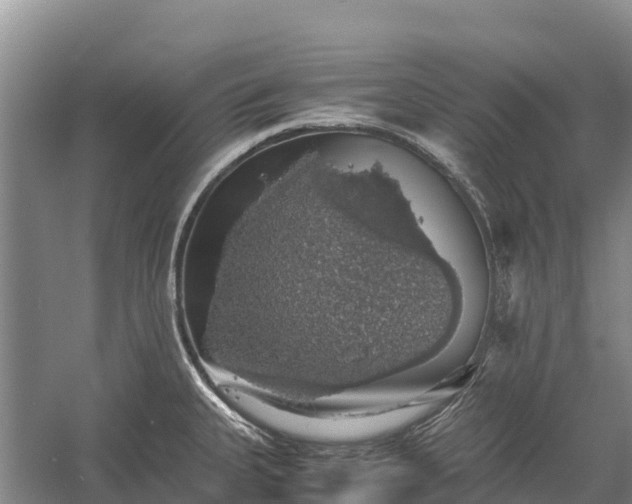 X0000058781335200510071559