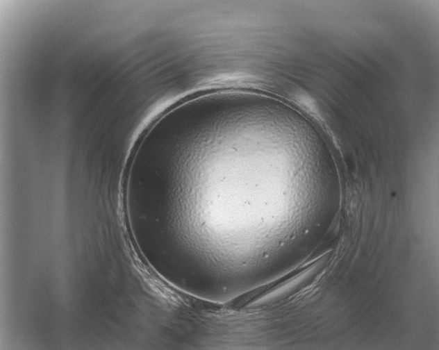 X0000058781336200510071559