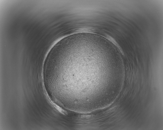 X0000058781339200510071559