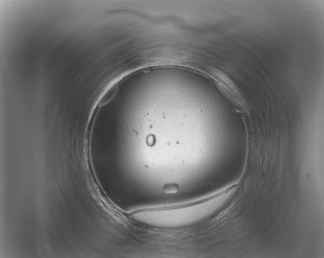 X0000058781340200510071559